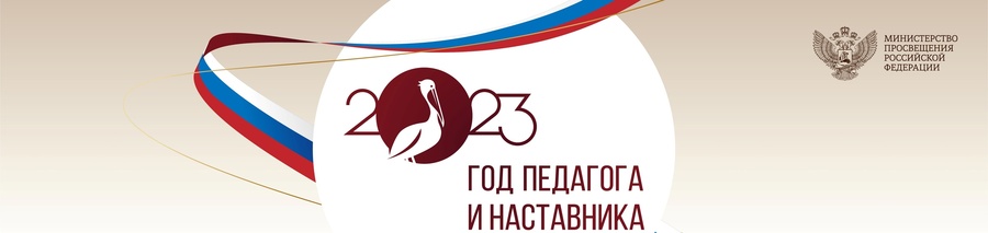 Год педагога и наставника