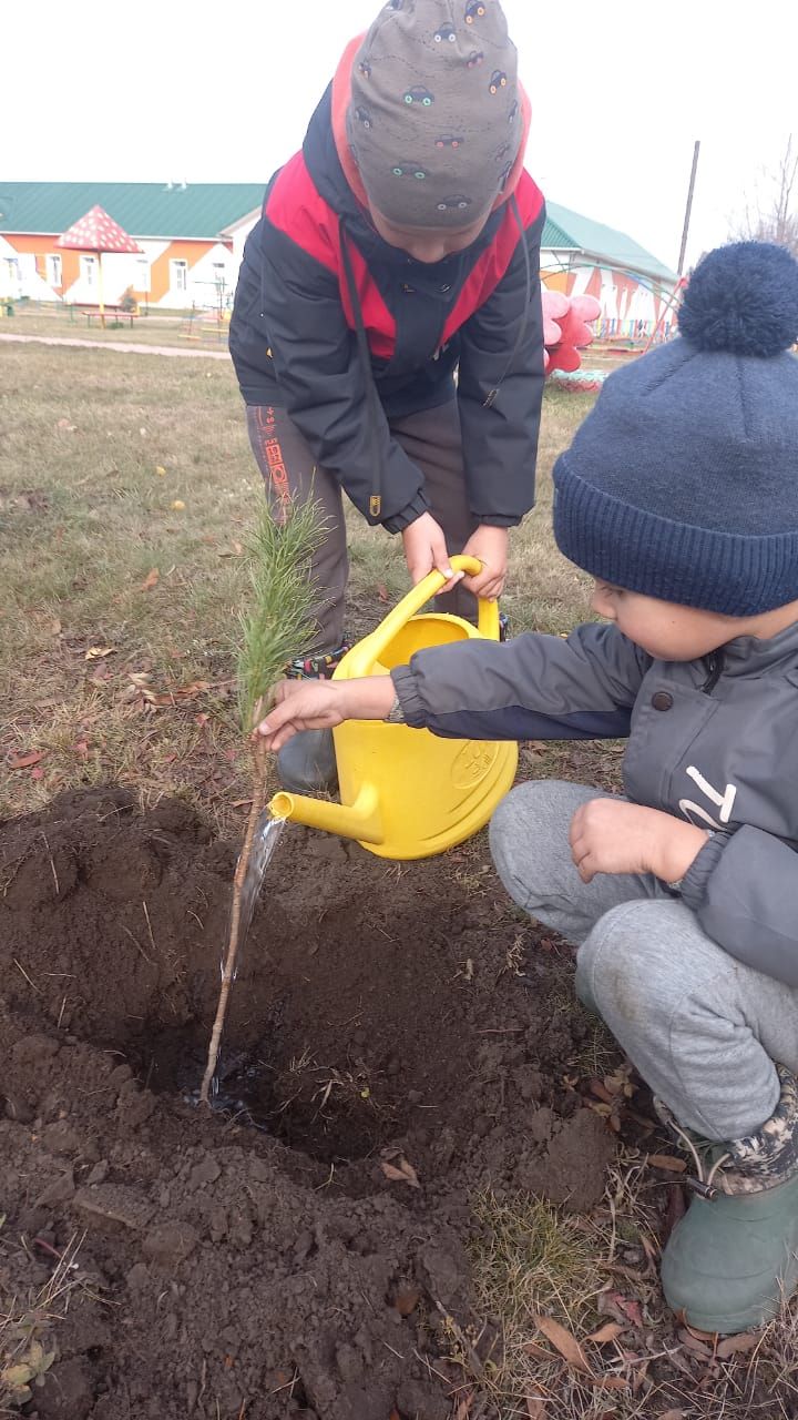 photo1665635304 2